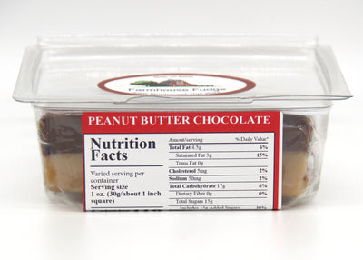 Peanut Butter Chocolate Fudge 1 Piece Container
